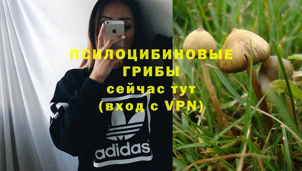 ешки Абинск