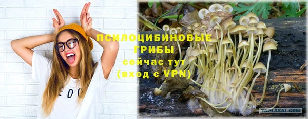 сатива Абаза