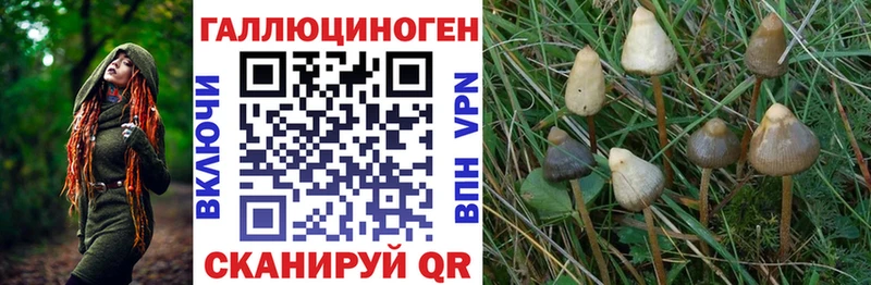 Галлюциногенные грибы ЛСД  Руза 
